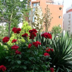 Hotel Deva Солнечный берег фото 10