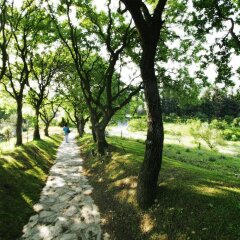 Отель Olive Farm Of Datca Guesthouse - Adults Only Датча фото 11