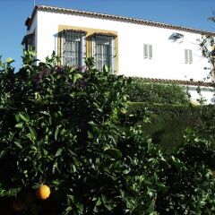 Отель Finca La Luz Bed & Breakfast фото 10
