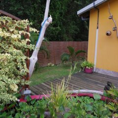 Отель Bungalow With one Bedroom in Guadeloupe, With Pool Access, Enclosed Ga