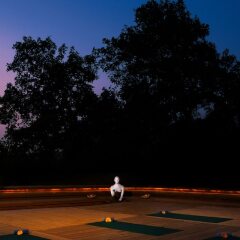 Отель The Park New Delhi Индия, Нью-Дели - отзывы, цены и фото номеров - забронировать отель The Park New Delhi онлайн спортивное сооружение