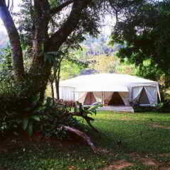 Отель Khao Kheaw es-ta-te Camping Resort & Safari фото 4