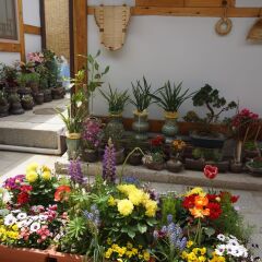Отель Dowonjeong Healing House Южная Корея, Сеул - отзывы, цены и фото номеров - забронировать отель Dowonjeong Healing House онлайн фото 6