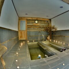 Отель Termas Malleco спа