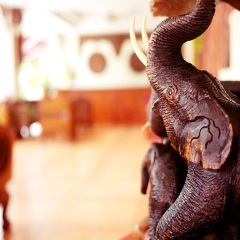Отель The Orchid House