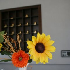 Отель Albergo Villa Marina Кьянчиано Терме интерьер отеля фото 2
