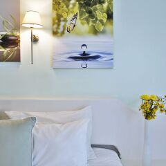 Anemoessa Boutique Hotel Mykonos удобства в номере