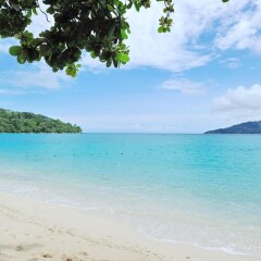 Отель Tri Trang Beach Resort Таиланд, Пхукет - 5 отзывов об отеле, цены и фото номеров - забронировать отель Tri Trang Beach Resort онлайн фото 3