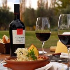 Отель Algodon Wine Estates and Champions Club Аргентина, Сан-Рафаэль - отзывы, цены и фото номеров - забронировать отель Algodon Wine Estates and Champions Club онлайн гостиничный бар