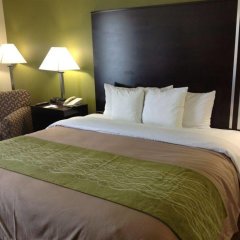 Comfort Inn East in Indianapolis, United States of America from 129$, photos, reviews - zenhotels.com guestroom