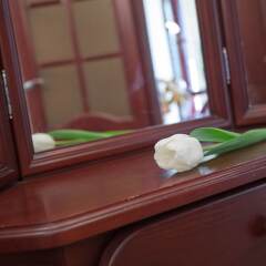 Отель Royal Suite near Lake Сумы удобства в номере