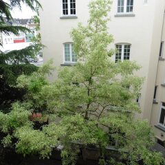 Отель Gästehaus Grupello фото 9