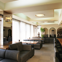 Town Hotel Chiyo Минамиавадзи интерьер отеля