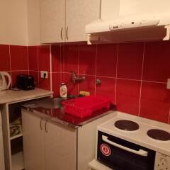 Апартаменты Kiwi Apartment в номере фото 2