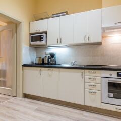 Апартаменты Machova Apartment в номере фото 2