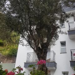 Отель Santa Cruz Village Санта-Крус фото 8