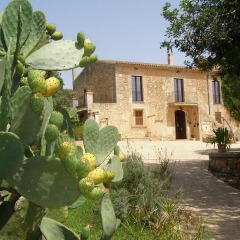 Отель Finca Son Samà фото 10