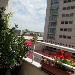 Отель Sonho de Lisboa B&B Португалия, Лиссабон - отзывы, цены и фото номеров - забронировать отель Sonho de Lisboa B&B онлайн балкон