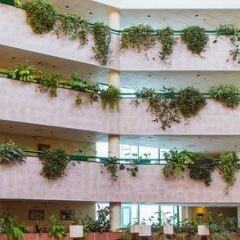 Гостиница Холидей Инн Москва Виноградово (Holiday Inn Moscow Vinogradovo) в Москве - забронировать гостиницу Холидей Инн Москва Виноградово (Holiday Inn Moscow Vinogradovo), цены и фото номеров пляж