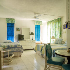 Отель Sky View Beach Studio - Montego Bay Club Ямайка, Монтего-Бей - отзывы, цены и фото номеров - забронировать отель Sky View Beach Studio - Montego Bay Club онлайн комната для гостей