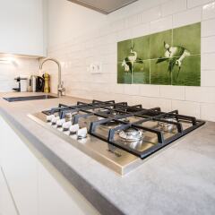 Отель Jordaan Harlem Apartments Нидерланды, Амстердам - отзывы, цены и фото номеров - забронировать отель Jordaan Harlem Apartments онлайн фото 2