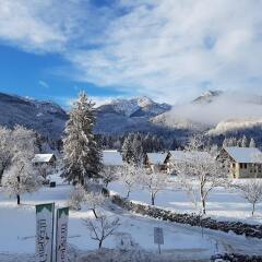 Отель Gasperin Bohinj фото 4