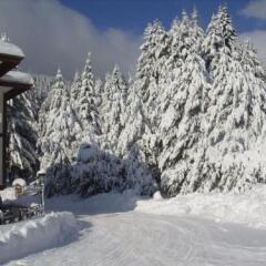 Отель Mountain Lake Hotel Болгария, Чепеларе - отзывы, цены и фото номеров - забронировать отель Mountain Lake Hotel онлайн фото 3