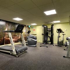 Отель Best Western PLUS Inner Harbour Hotel Канада, Виктория - отзывы, цены и фото номеров - забронировать отель Best Western PLUS Inner Harbour Hotel онлайн фитнесс-зал