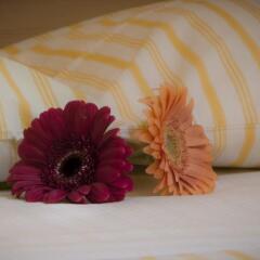 Отель On The Rainbow B&B Италия, Рим - отзывы, цены и фото номеров - забронировать отель On The Rainbow B&B онлайн с домашними животными
