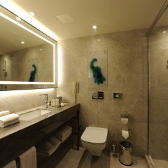 DoubleTree by Hilton Hotel Istanbul - Sirkeci 4* Стандартный номер с двуспальной кроватью фото 7