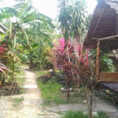 Отель Mama Klong Khong Bungalow Ланта фото 6