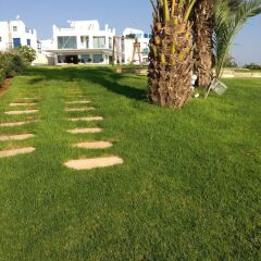 Отель Cyprus Villa Dream 35 Platinum фото 4