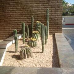 Отель Park Royal Los Cabos Сан-Хосе-дель-Кабо парковка