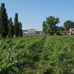 Отель Agriturismo Dominio di Bagnoli фото 7