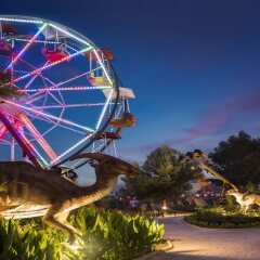 Отель Delphin BE Grand Resort фото 3
