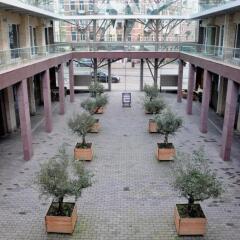 Отель Mosaic City Centre Нидерланды, Амстердам - отзывы, цены и фото номеров - забронировать отель Mosaic City Centre онлайн помещение для мероприятий