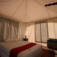 Отель Khao Kheaw es-ta-te Camping Resort & Safari комната для гостей фото 3