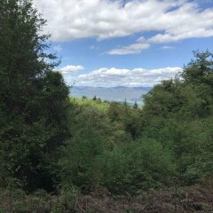 Отель Agriturismo Podere Luisa Италия, Монтеварчи - отзывы, цены и фото номеров - забронировать отель Agriturismo Podere Luisa онлайн фото 3