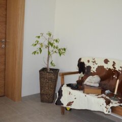 Отель Appartement Alpenglühn интерьер отеля