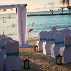 Отель Renaissance Aruba Resort & Casino