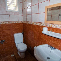 Baykal Pension Турция, Чавушкёй - 1 отзыв об отеле, цены и фото номеров - забронировать отель Baykal Pension онлайн ванная