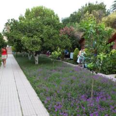 Can Garden Beach Турция, Сиде - отзывы, цены и фото номеров - забронировать отель Can Garden Beach онлайн фото 6