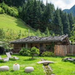 Отель Naturhotel Rainer Рачинес-Ратскингс фото 2