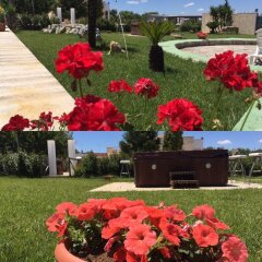 Отель B&B Villa Grassi Альберобелло помещение для мероприятий фото 2