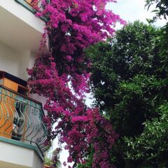 Отель Ipek Otel Kemer фото 9
