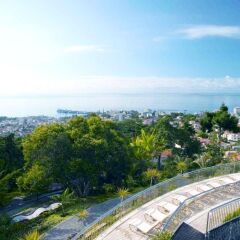 Отель Quinta das Vistas Palace Gardens Португалия, Фуншал - отзывы, цены и фото номеров - забронировать отель Quinta das Vistas Palace Gardens онлайн балкон