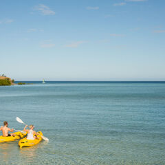 Отель Tropica Island Resort - Adults Only фото 3