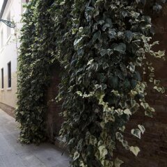 Acca Hotel фото 3