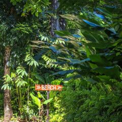 Отель Savasi Island Resort Савусаву фото 13
