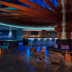 Отель Residence by Krystal Grand All Inclusive Мексика, Сан-Хосе-дель-Кабо - отзывы, цены и фото номеров - забронировать отель Residence by Krystal Grand All Inclusive онлайн развлечения
